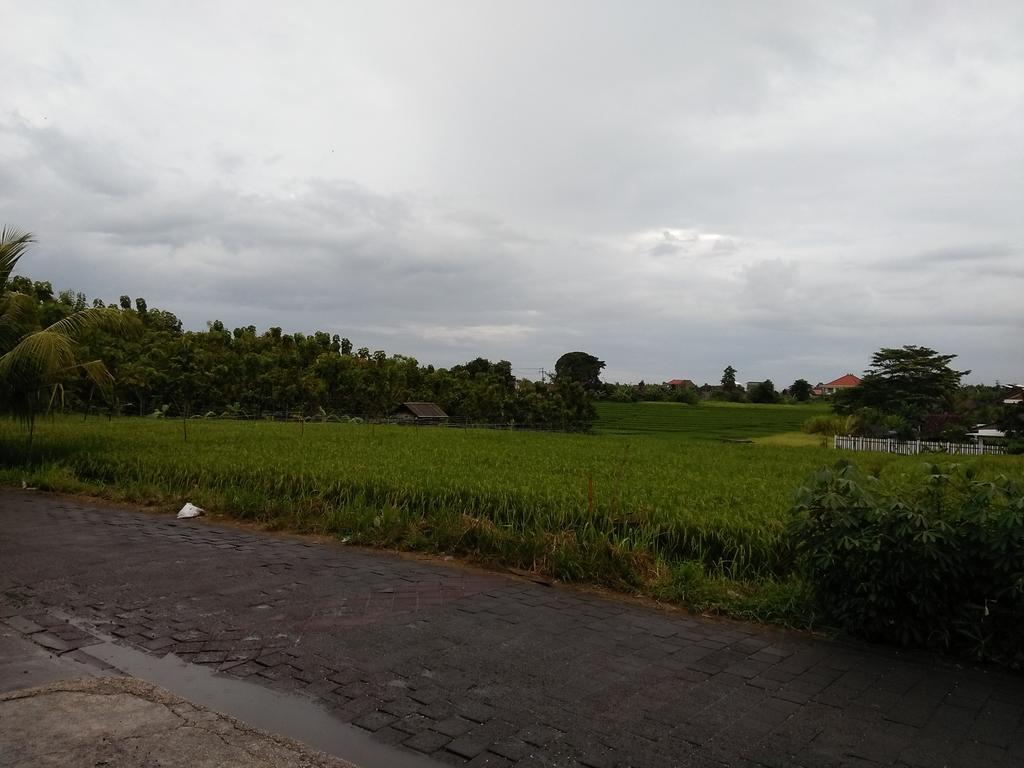 The Wina Guest House 2 Canggu Exterior foto